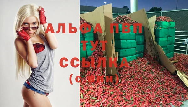 марки lsd Новозыбков