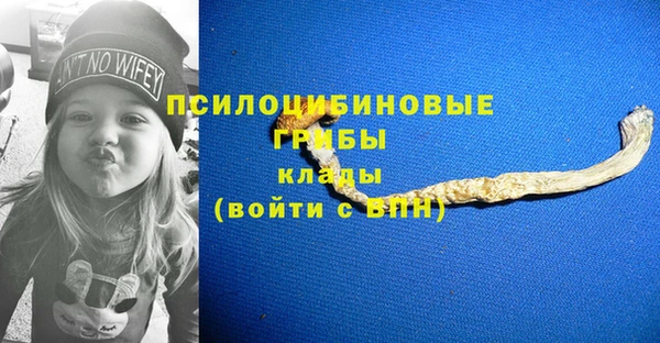 стафф Нягань