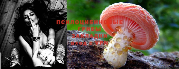 марки lsd Новозыбков