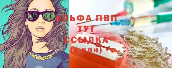 марки lsd Новозыбков