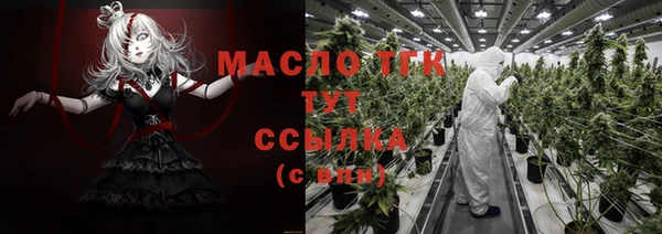молекула духа Няндома