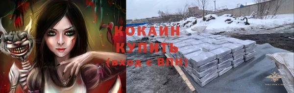 молекула духа Няндома
