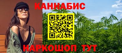сатива Заволжье