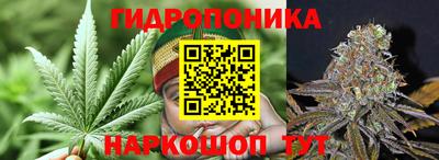 сатива Заволжье