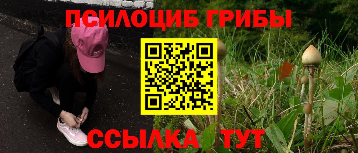 Псилоцибиновые грибы Psilocybe  Псилоцибиновые грибы Psilocybine cubensis  где продают наркотики  Вход с VPN  Майский 