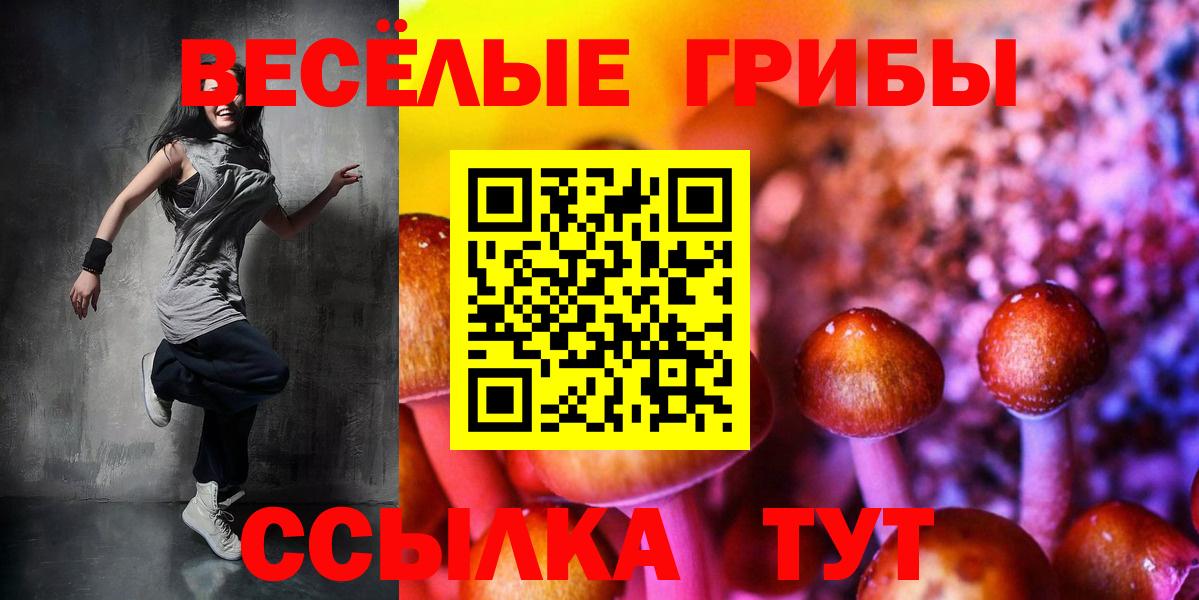 Галлюциногенные грибы Psilocybine cubensis Майский