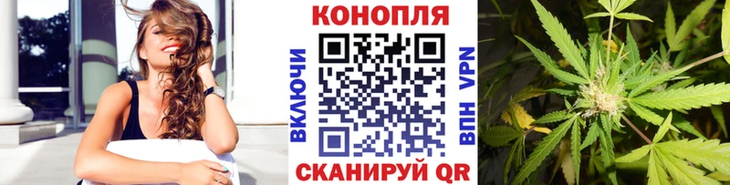 Каннабис индика Майский